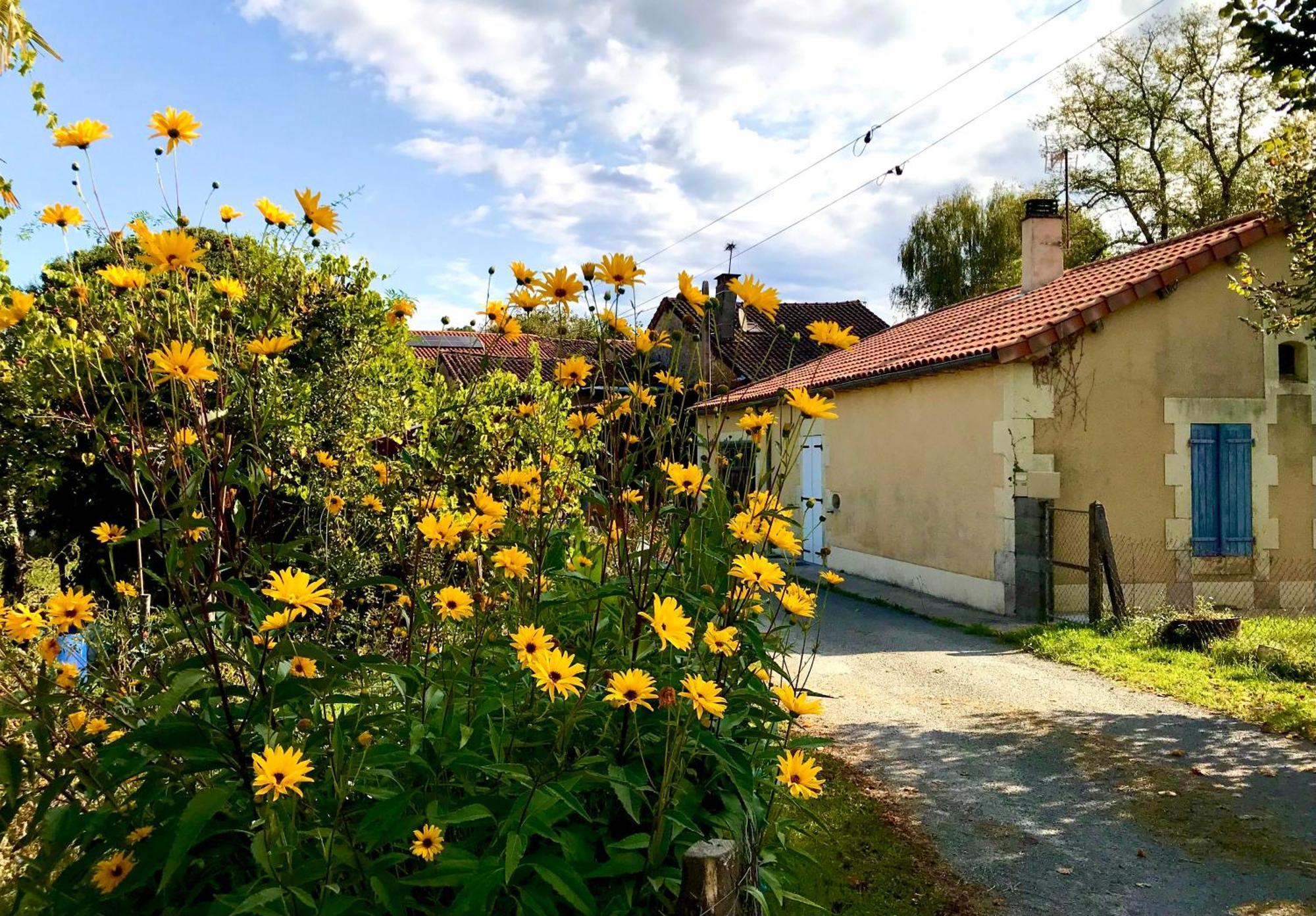 Lapartment Du Perigord Javerlhac-et-la-Chapelle-Saint-Robert Dış mekan fotoğraf